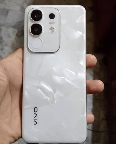 WhatsApp number 03073429110