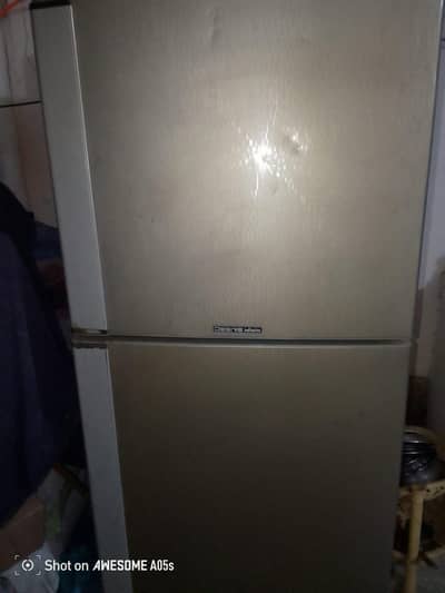 desire full size fridge