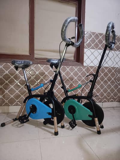 EXERCISE CYCLE  2 IN 1