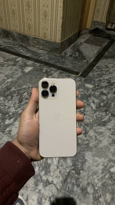 Iphone 13 pro max dual sim pta approved