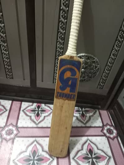 Hard Ball Practice Bat