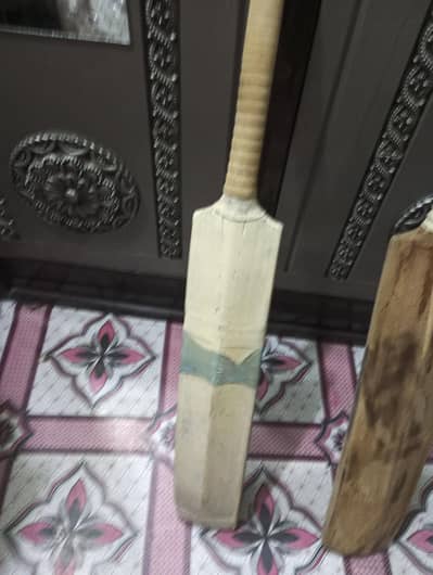 Hard Ball Practice Bat