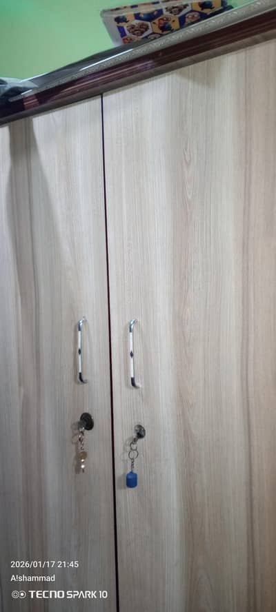 Stylish Farmer wardrobe almari