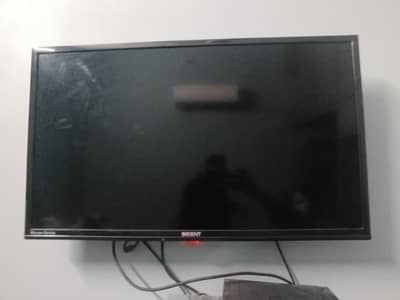 Orient LED Macaw Series