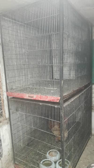 big cage for sale