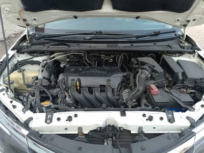 Toyota Corolla XLI 2019