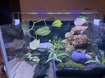 Aquarium setup for sale