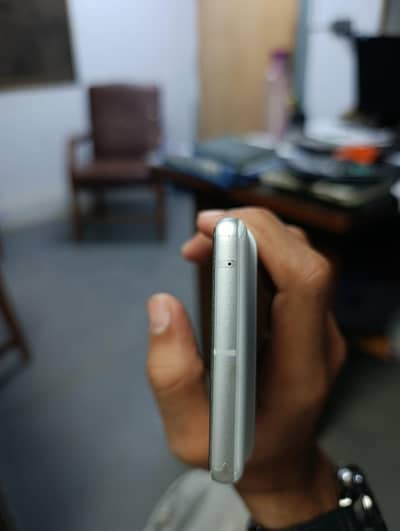 White lover hazri lagao