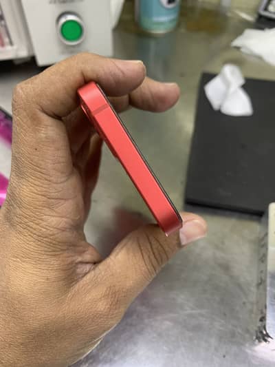 12 mini 256gb tag model