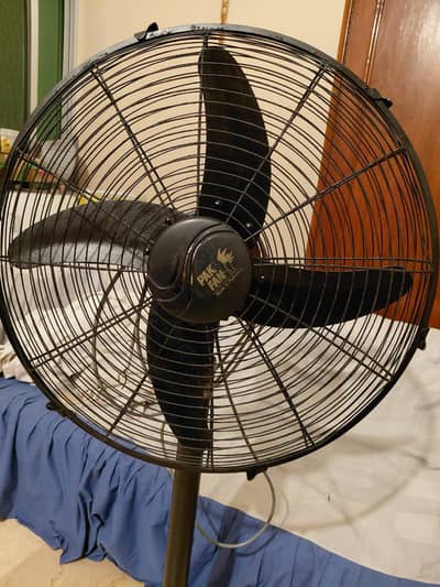pak fan for sale