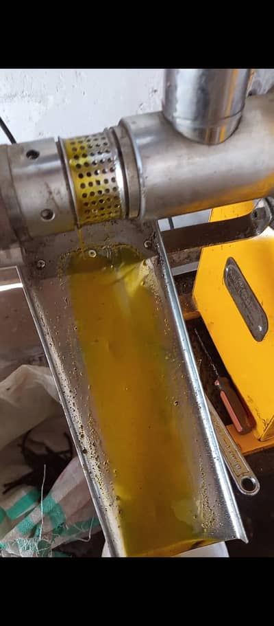 cold press oil machine