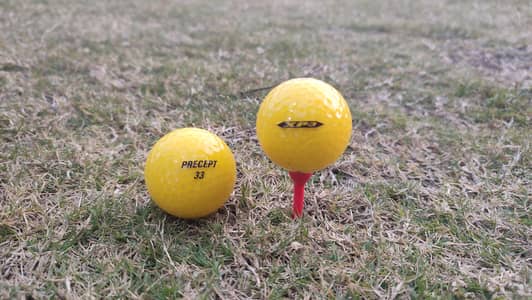 2 Golf balls with tee