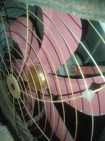 iron cooler with pump 8/10 large size