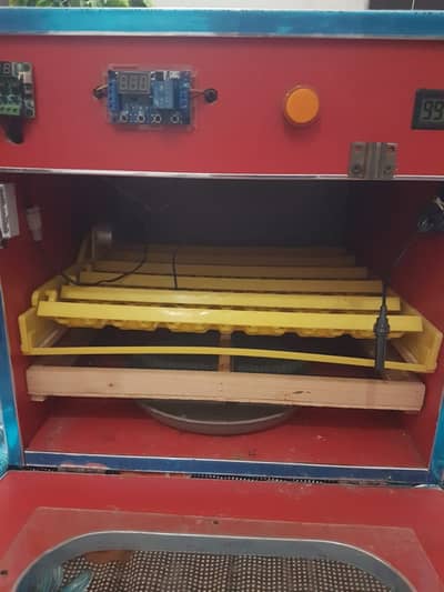 Automatically incubator