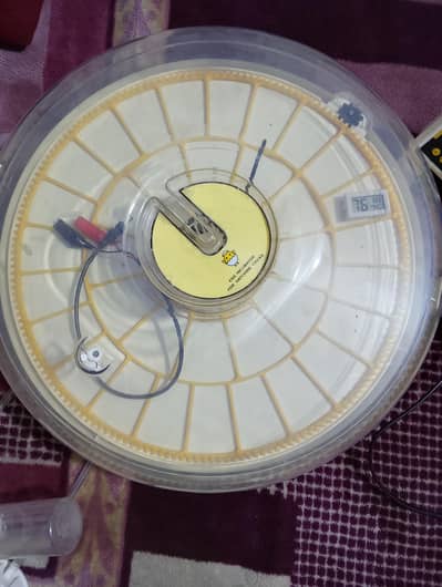 35 eggs automatic incubator