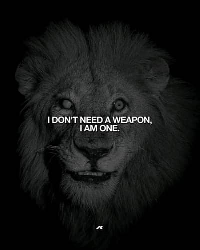 Photo shoot requirement