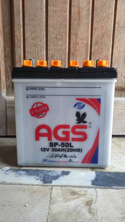 AGS car battery & Biztek UPS