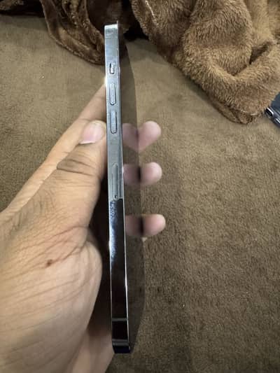 iPhone 12 Pro Max non pta