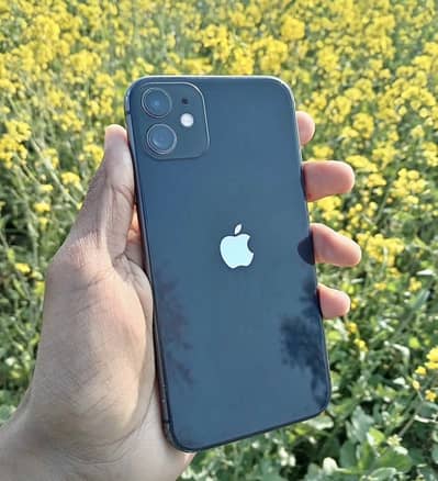 Apple iPhone 11