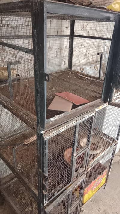 parrot cage and cage