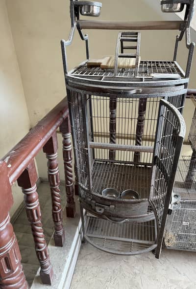 Grey parrot cage