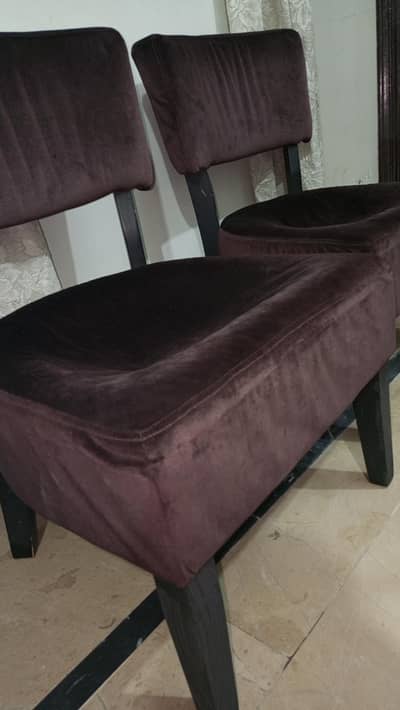 Modern Velvet Dining Chairs – Set of 2 (Brown)