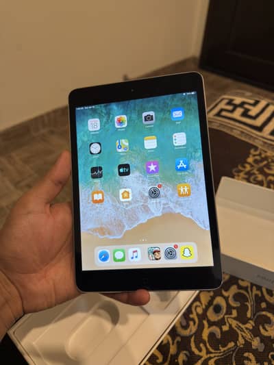 ipad mini 2