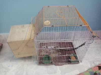 cage box ka sate 1600