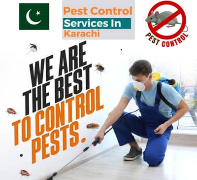 Pest Control Services - Termite Control - Dengue Spary - Fumigation