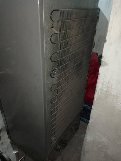 full size refrigerator in good condition