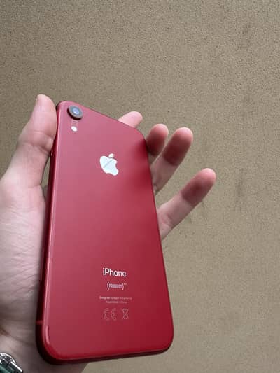 iPhone XR Pta Approved