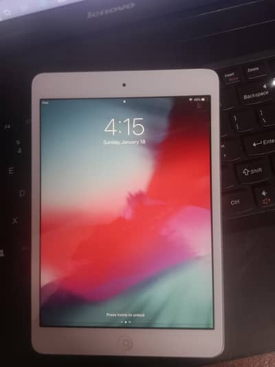 Ipad mini 2
