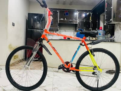 bycycle 1010, condition 1 month used winning cycle