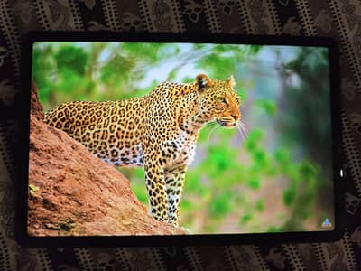 Redmi Pad 2 4G (8/256) 90Hz ( Just Box Open)