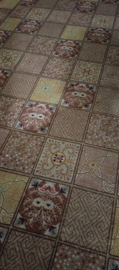 Carpet Use only 8-9 Months