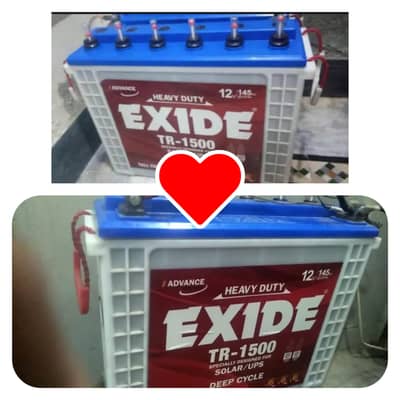 2 Exide TR-1500 Talltubllar Deep Cycle Batteries (Pair)