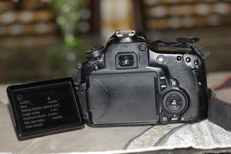 Canon 60D with a kit lens(18-55mm)