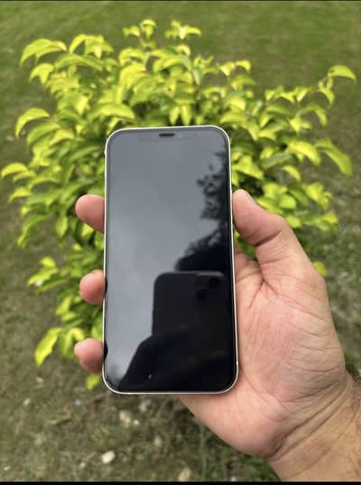 iPhone 12 PTA Approved