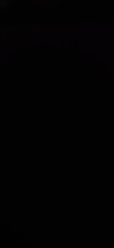 Iphone 15 Pro Max (256GB)