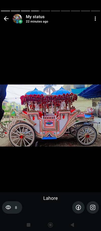 pony horses available#baggie for wedding #dance horse available