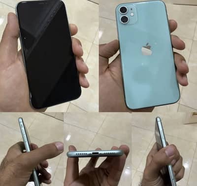 iPhone 11 Sky blue