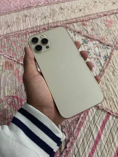 Ip 12 pm dual physical with box