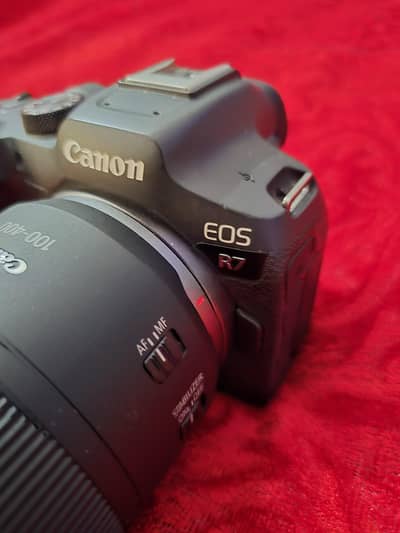 Canon EOS R7 + RF 100–400mm IS USM