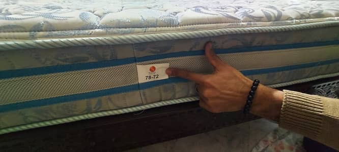 Master Celeste Ultra Ortho