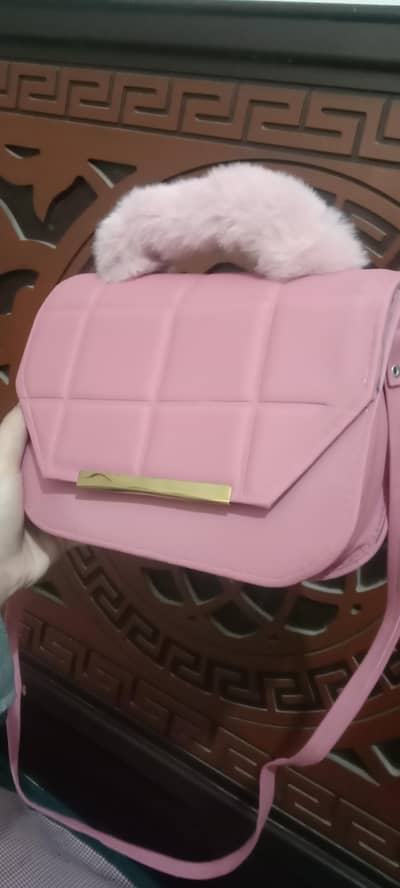 beautiful ladies bag