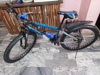 MTB Custom Bicycle for Sale