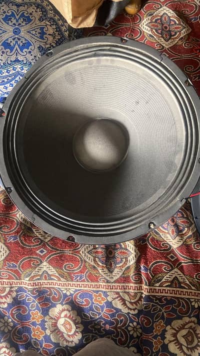 14 inch speaker