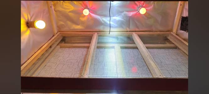 100 CHICKS BROODER Energy Saver 20 watt and cages / Pinjra