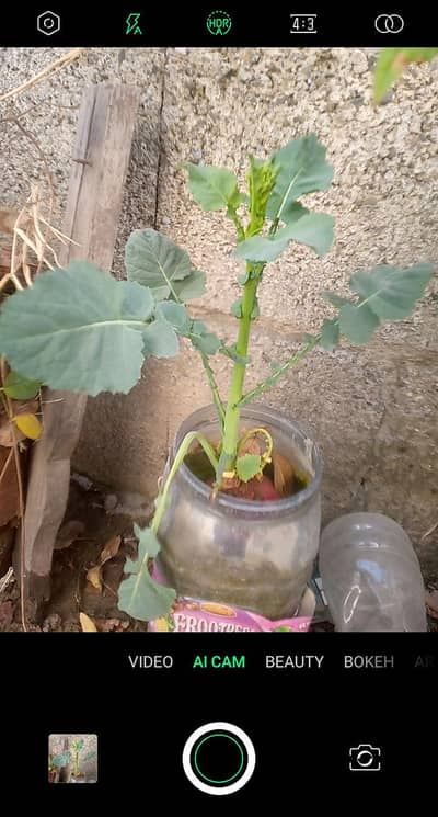 infinix smart 3 plus