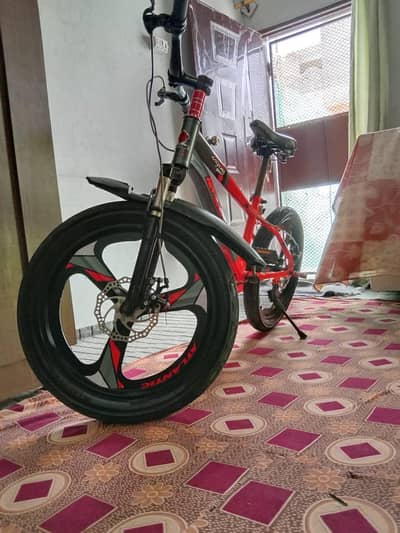 cycle number 20      age 10 to 12